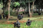 Σμήνος μελισσών κατά παραστρατιωτικών δυνάμεων στην Ινδία