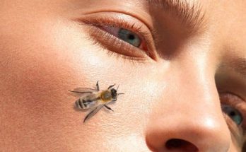 δηλητήριο της μέλισσας είναι το νέο botox