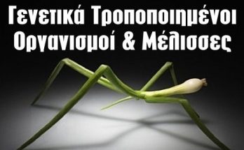 Γενετικά τροποποιημένοι οργανισμοί