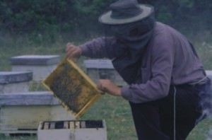 Μελισσοκόμος