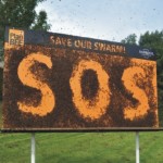 EFSA: τρία εντομοκτόνα απειλή για τις μέλισσες